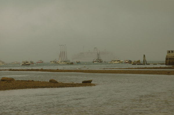 DSC_2880