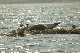 DSC_2776_crop